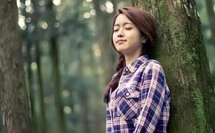 晃来晃去的巨峰